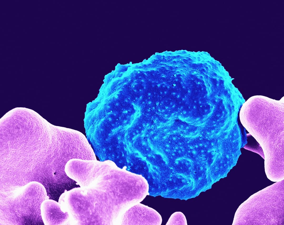 A microscopic close-up of cellular material